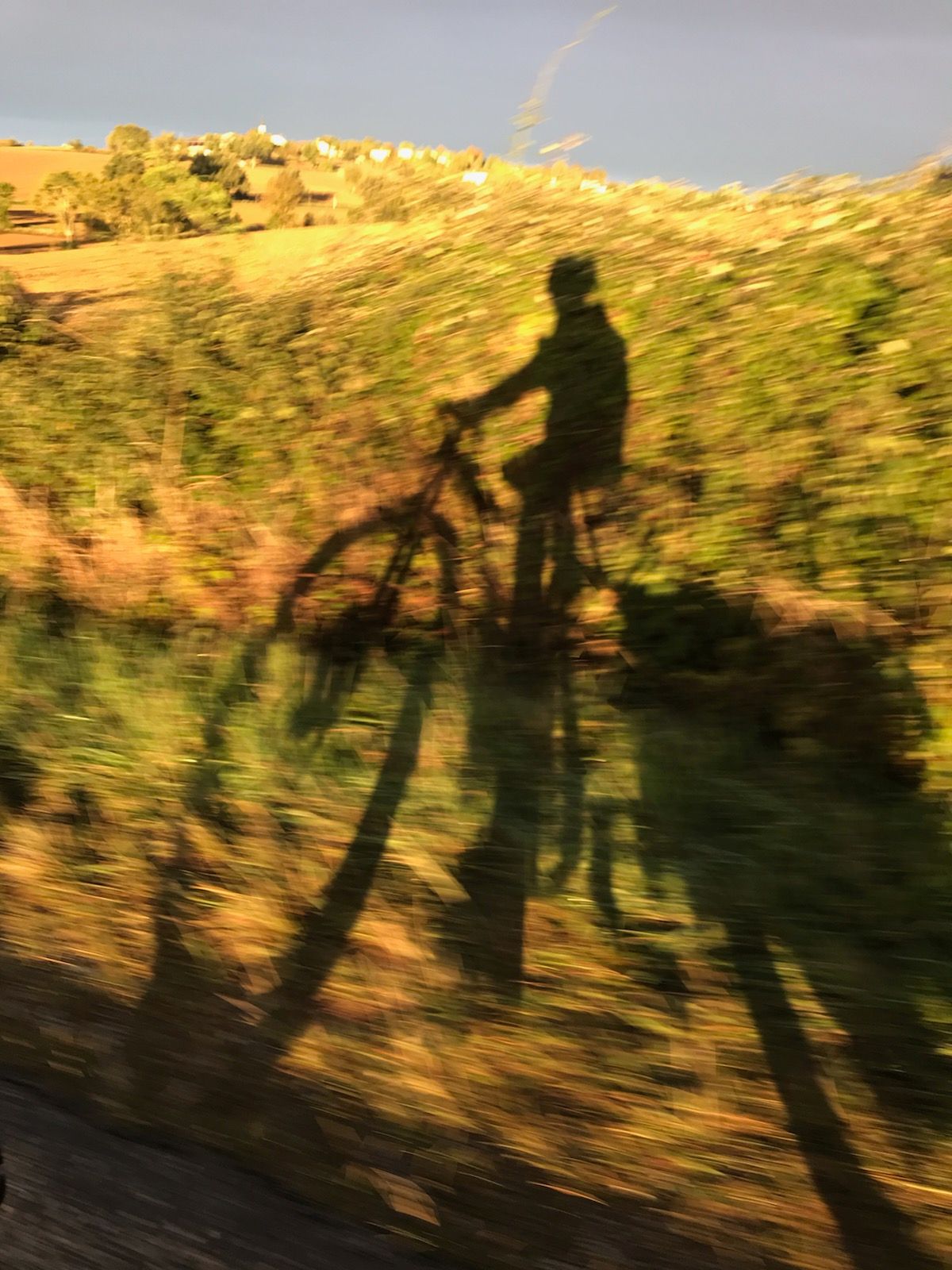 Photographie de l'ombre d'Amandine sur son vélo se reflétant dans un champ