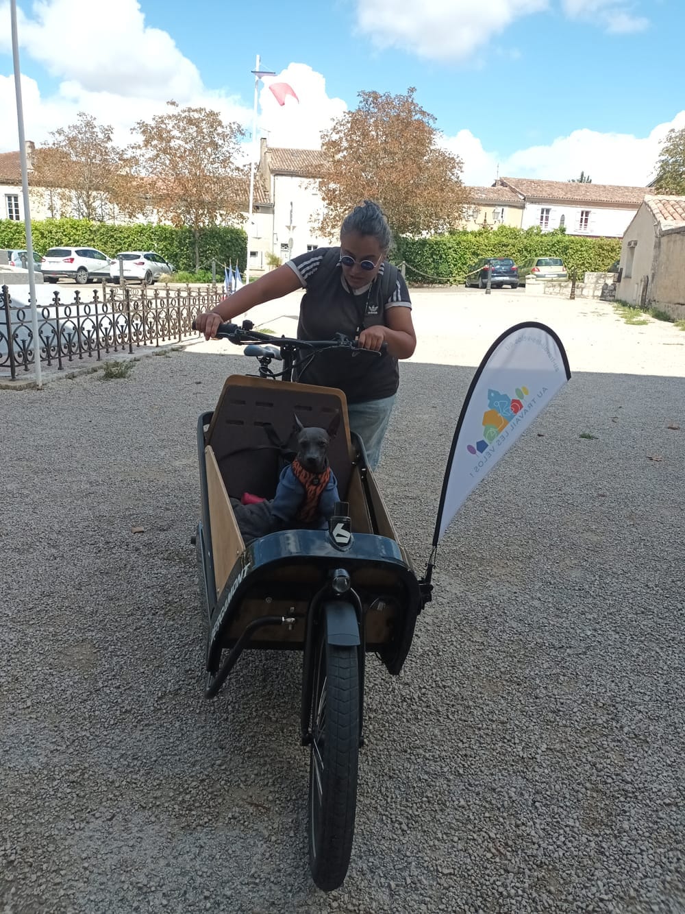 Emmener son chien en vélo-cargo, une solution qui a du flair !
