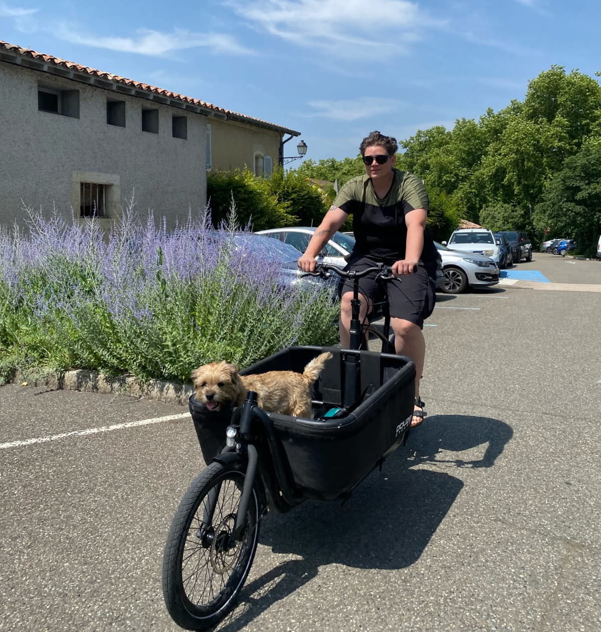 Emmener son chien en vélo-cargo, une solution qui a du flair !